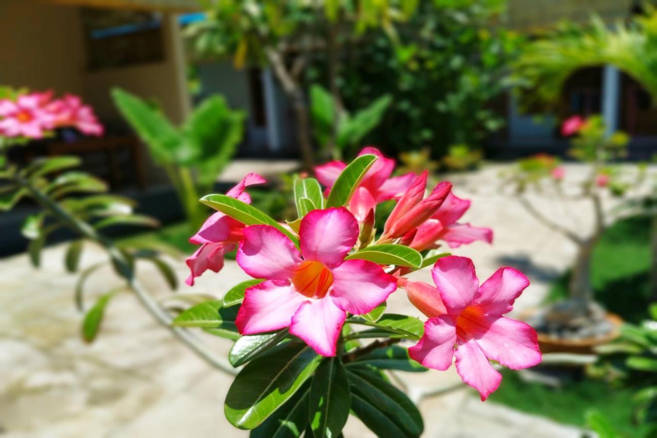 Van Santri Homestay Pemuteran מראה חיצוני תמונה